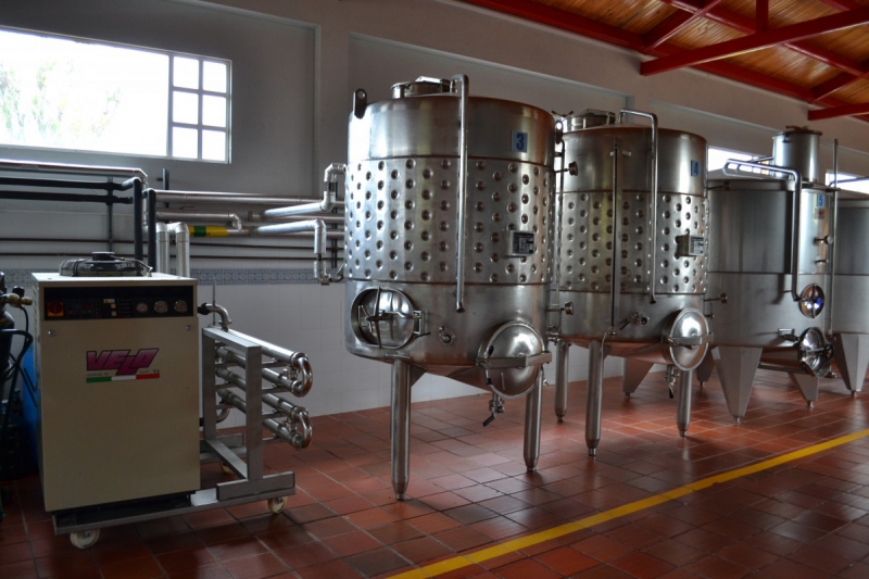 cave-DRAGUIGNAN-min_wine_production_cantine_winery_drink_alcohol_vine_beverage-902036